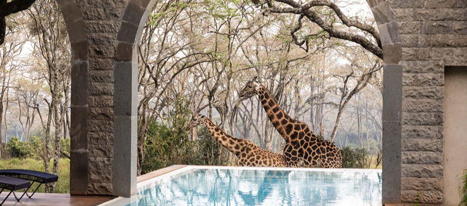 50 Best Discovery adds more than 650 venues worldwide, and a whole new category